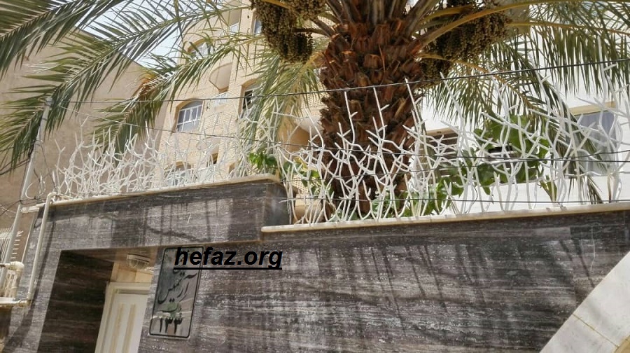 تراکم انواع حفاظ شاخ گوزنی در منطقه تهران 